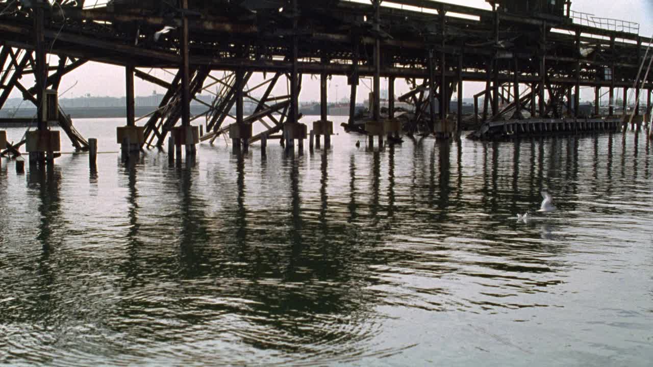 海鸥广角，鸟群飞翔，在水中垂钓。附近的码头,码头。视频素材