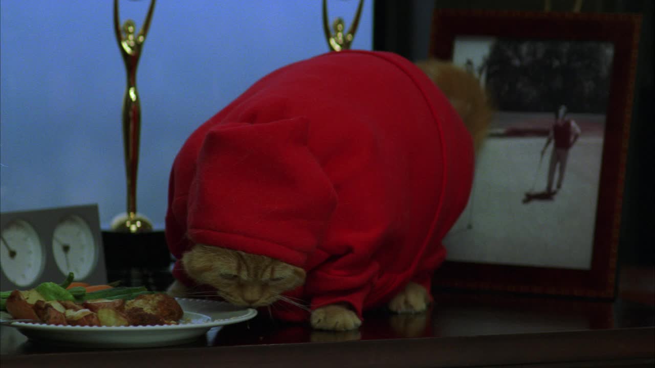 中等角度超重的猫在运动衫吃从盘子的食物在床头柜或桌子上。画框里的画，金色的雕像，还有放在床头柜上的钟。兜帽拉下，套在运动衫上，遮住猫的脸。幽默。视频素材