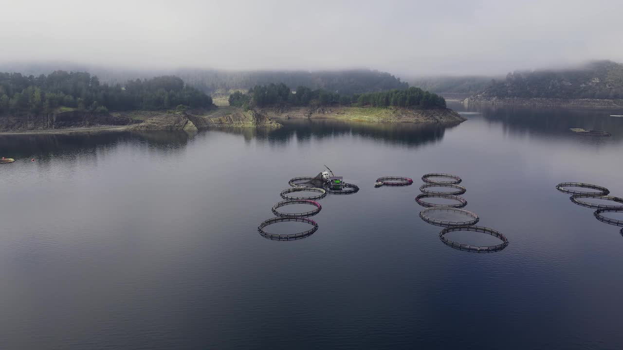 鸟瞰图的鳟鱼养殖场环形笼子在湖中视频素材