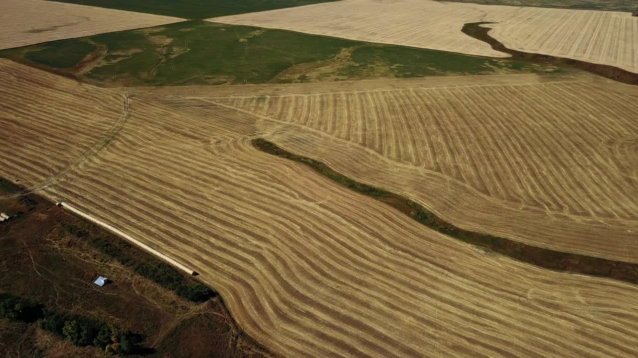 收割农田概览，阿尔伯塔，加拿大视频素材