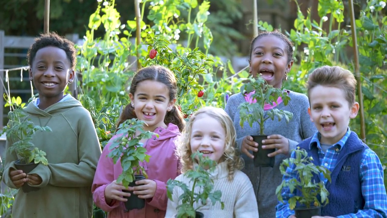 多种族儿童一起站在社区花园视频素材