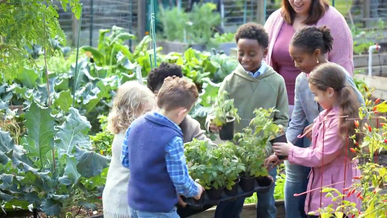 大人带着孩子，在社区花园种植视频素材