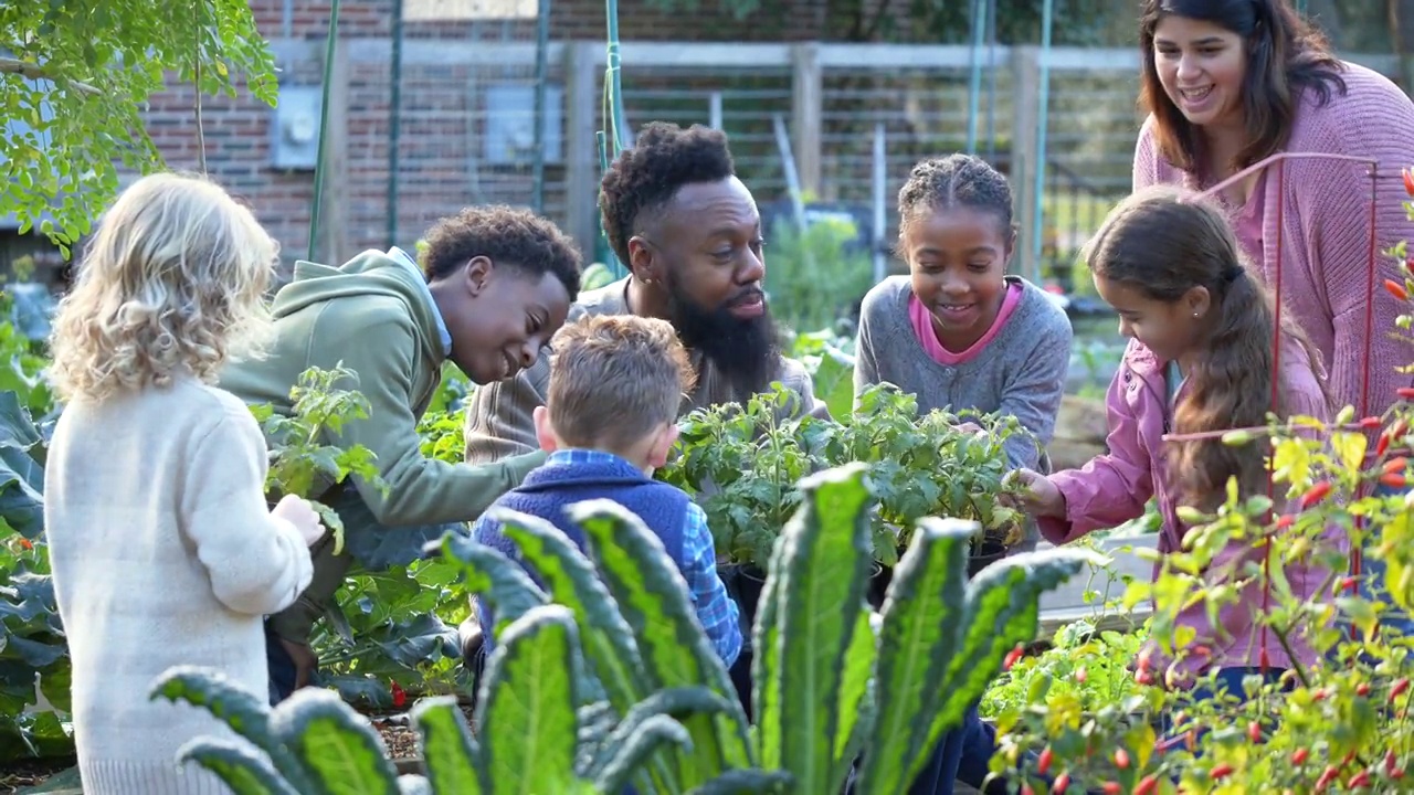 男子在社区花园教孩子们植物视频素材