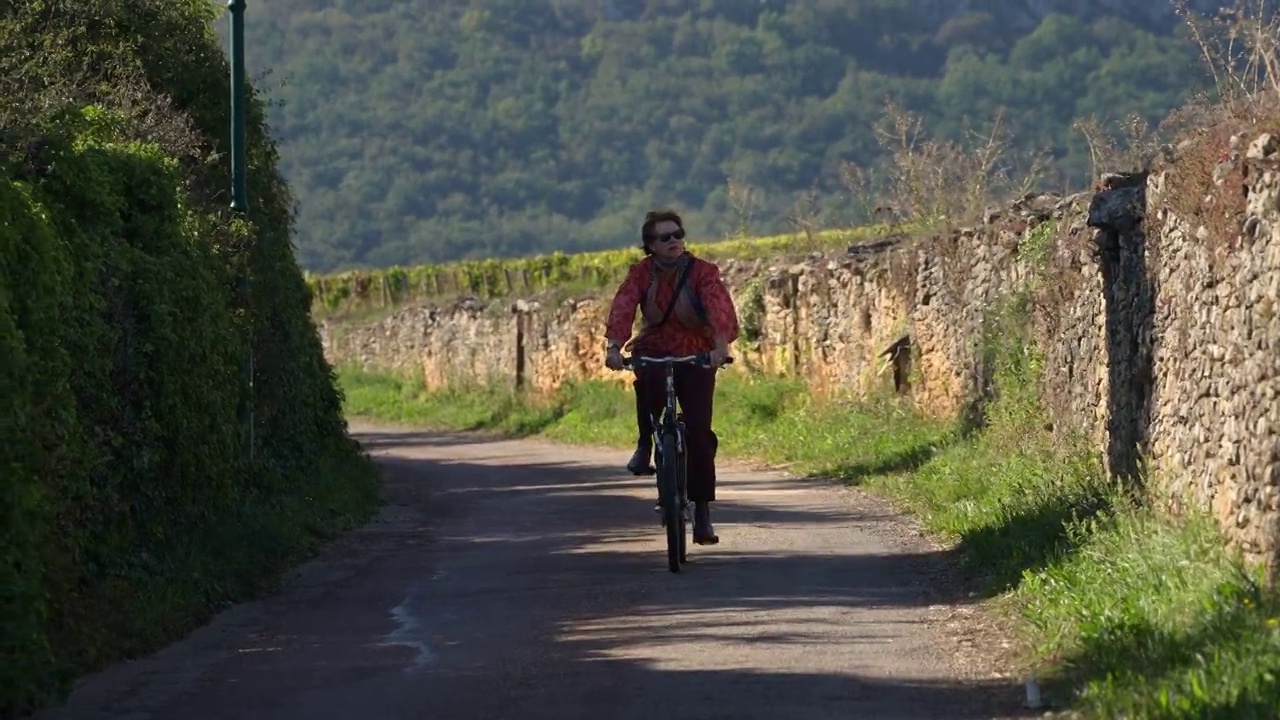 一个女人在勃艮第的葡萄园附近骑自行车视频下载