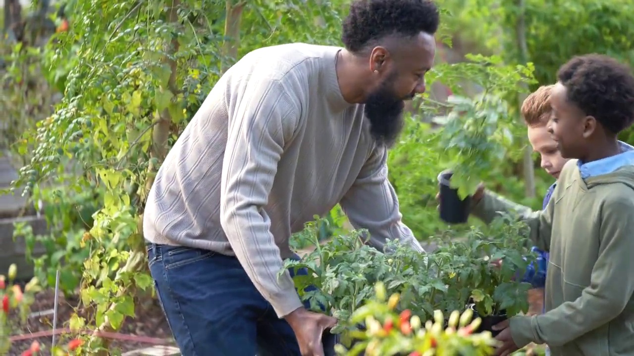 带着孩子的男人，在社区的花园里植树视频素材