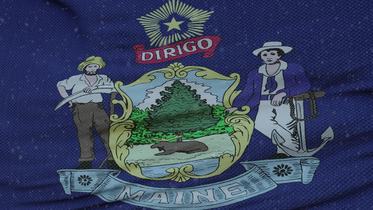 缅因州冬季国旗与雪花背景。美利坚合众国视频下载