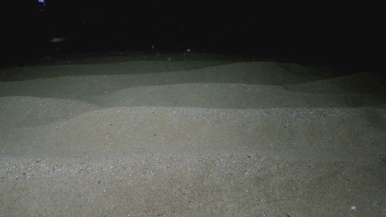 夜晚在大西洋的沙质海床上移动视频下载