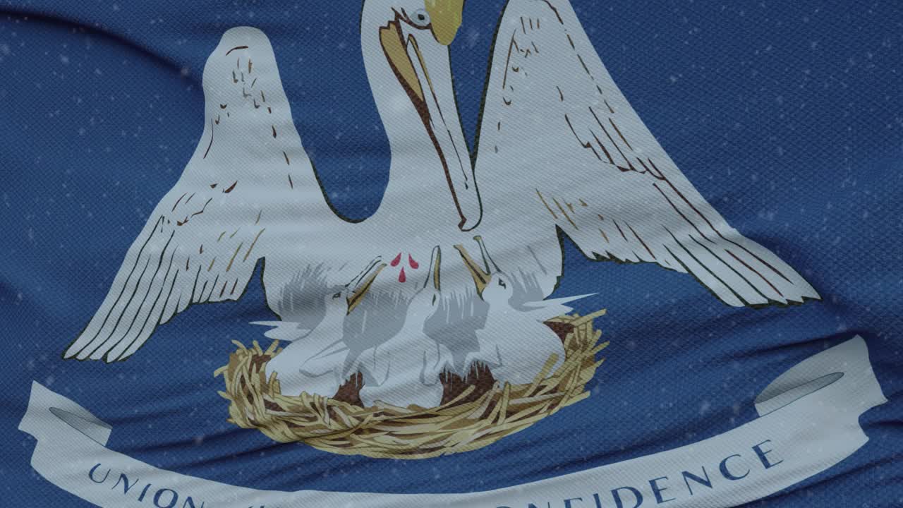 以雪花为背景的路易斯安那州冬季旗帜。美利坚合众国视频素材