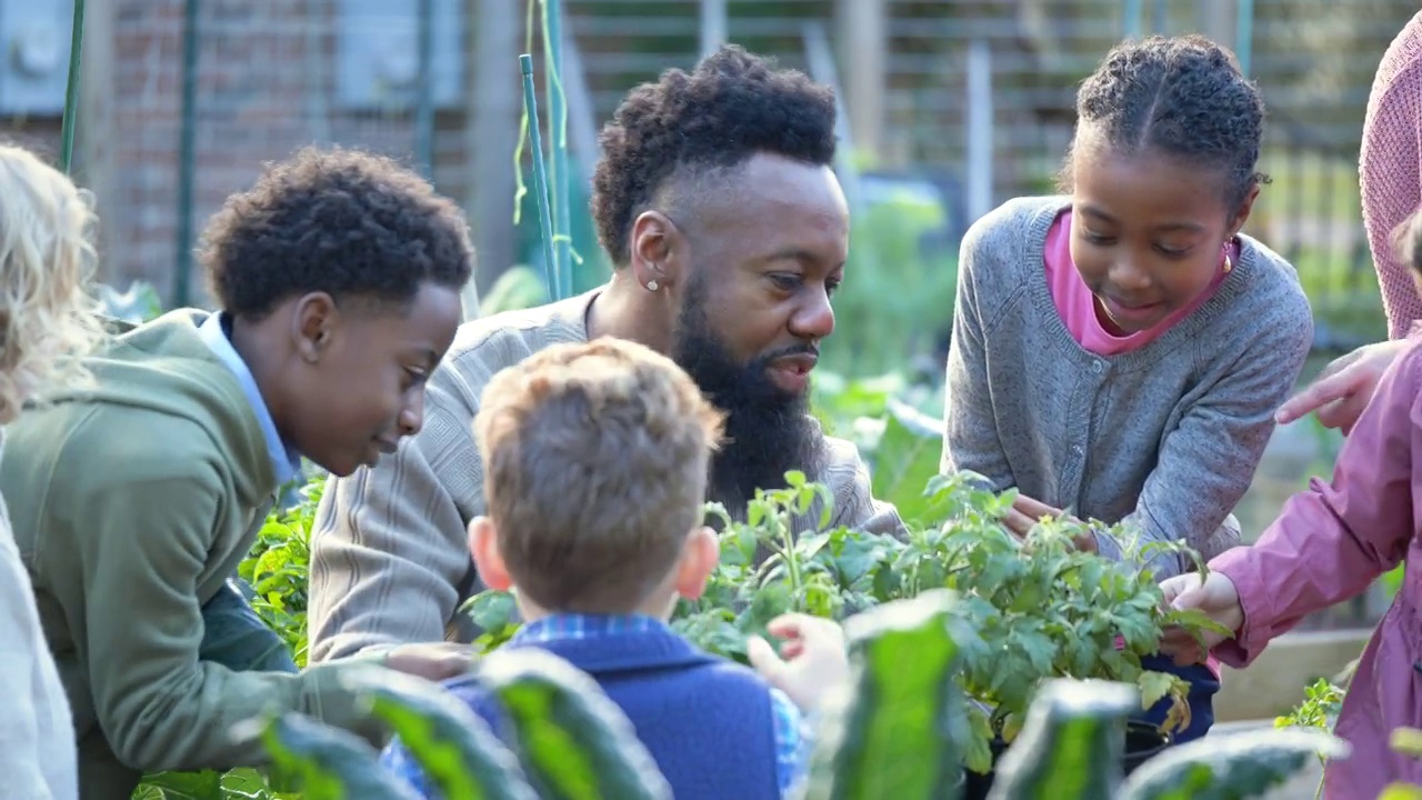 男子在社区花园教孩子们植物视频素材