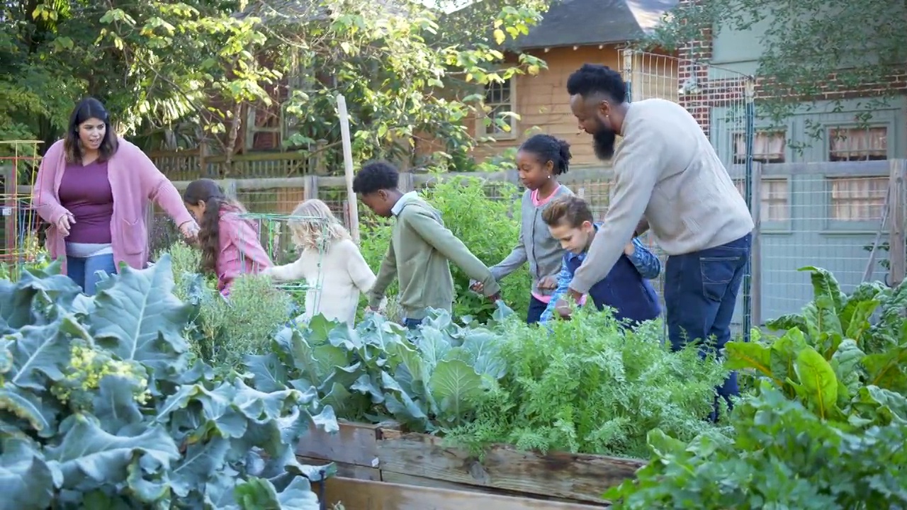 孩子们在社区花园学习植物视频素材