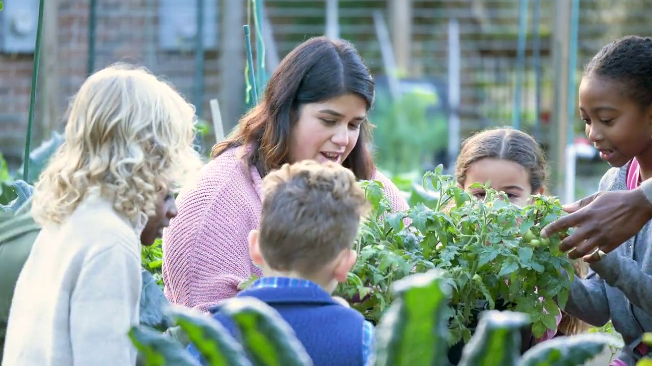 在社区花园教孩子们植物的妇女视频素材