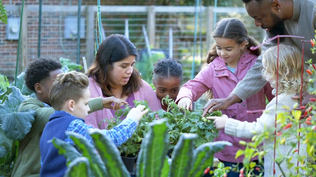 孩子们在社区花园学习植物视频素材