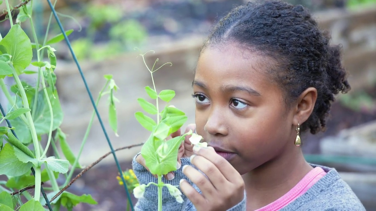 一个非裔美国女孩在社区花园看花视频下载