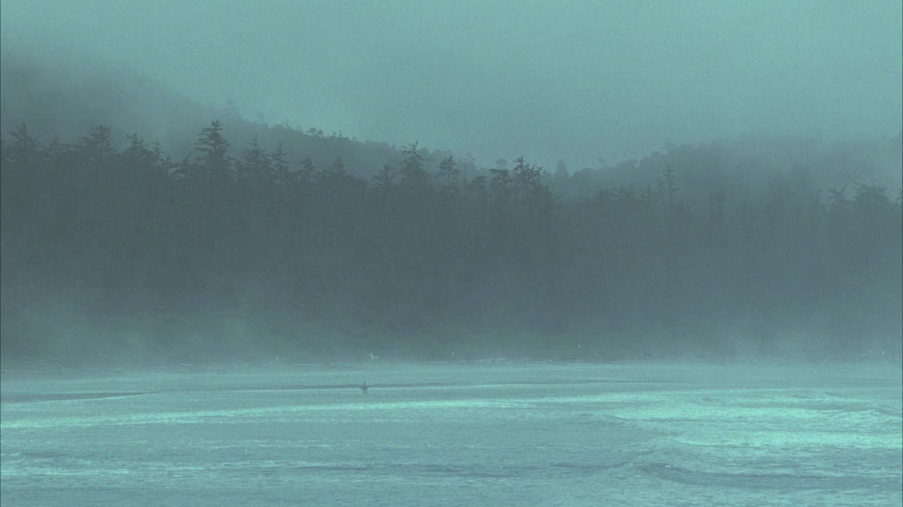 一个人走在广角的海洋里，松树，针叶树，山脉在bg。波。海滩。雾。视频素材