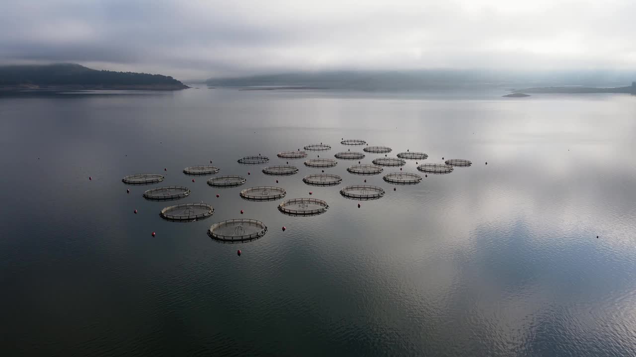 鸟瞰图，湖上的鳟鱼养殖场和圆形的笼子视频素材