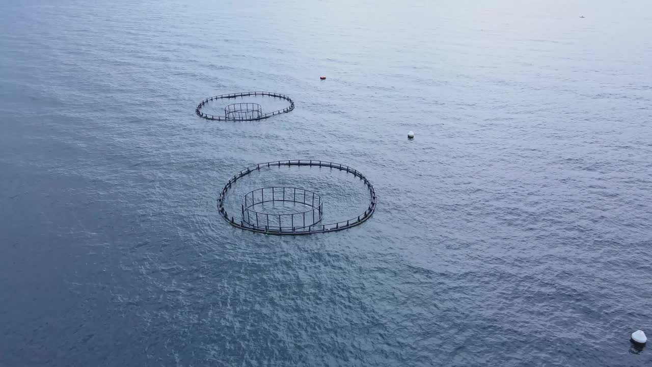 在地中海的鱼类孵化场的水产养殖业的鱼笼。视频素材