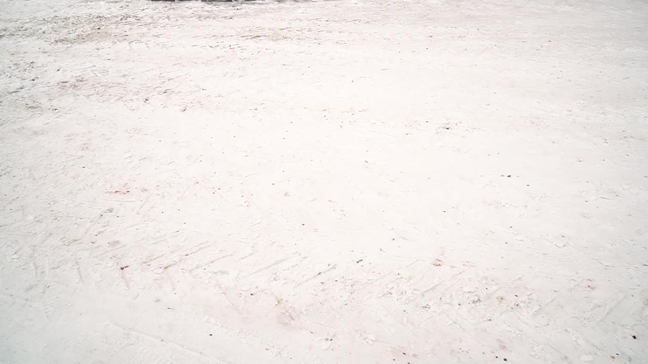 冬季粉红宫殿入口的豪华门廊，倾斜向上视频下载