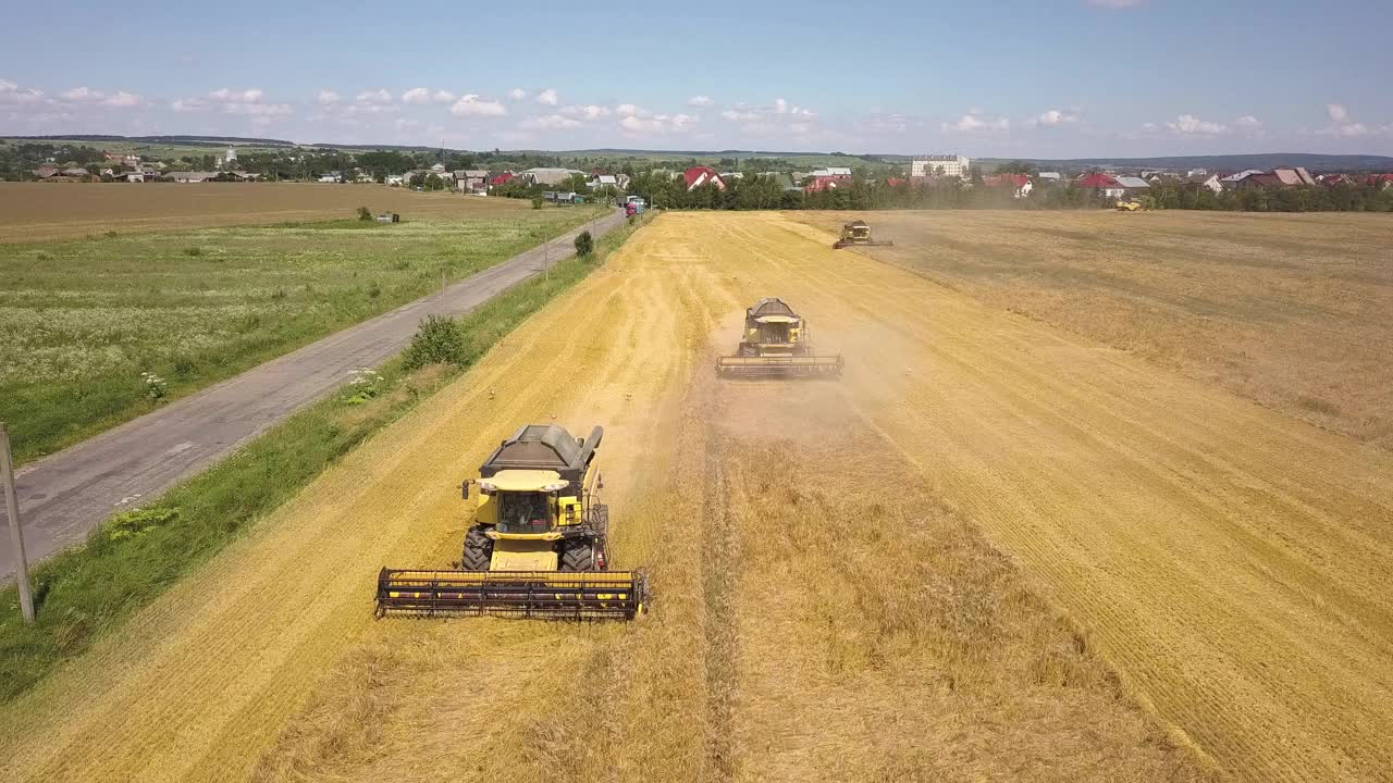 联合收割机收获大面积成熟麦田的鸟瞰图。无人机视角下的农业。视频下载