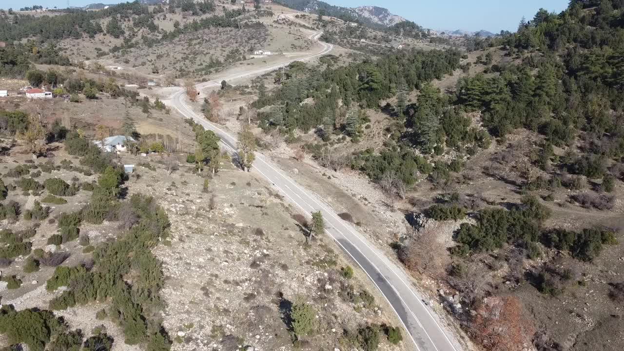 在森林的柏油路上用无人机飞行。视频素材