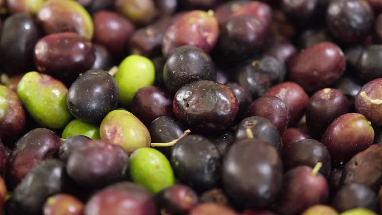 收获后的生有机橄榄，准备好了特级初榨橄榄油。旋转镜头视频素材