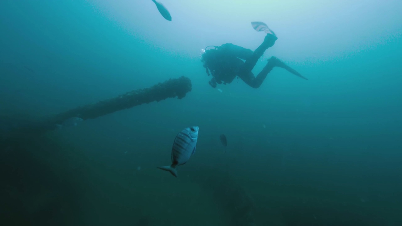带水肺的潜水员在大西洋的船炮上，沉船潜水视频下载
