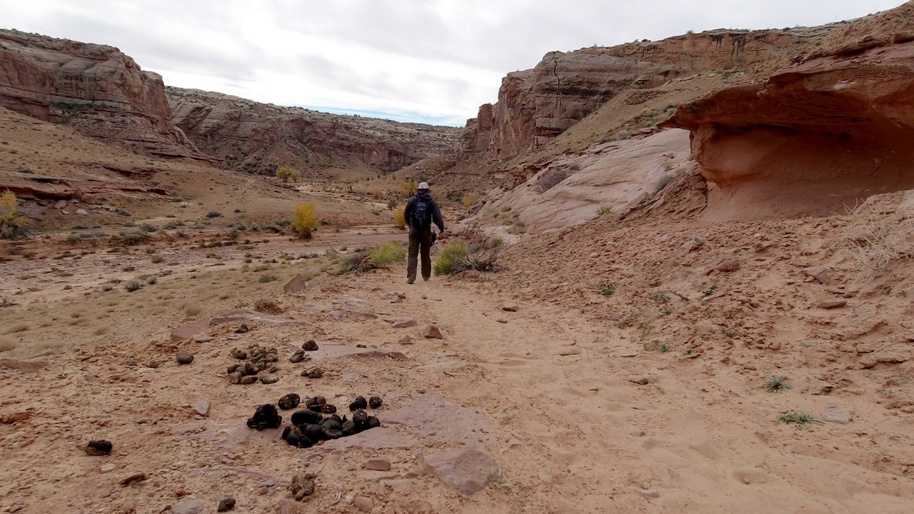 手持拍摄的一名男子走过在犹他州马蹄铁峡谷徒步旅行的一边的一堆马粪视频下载