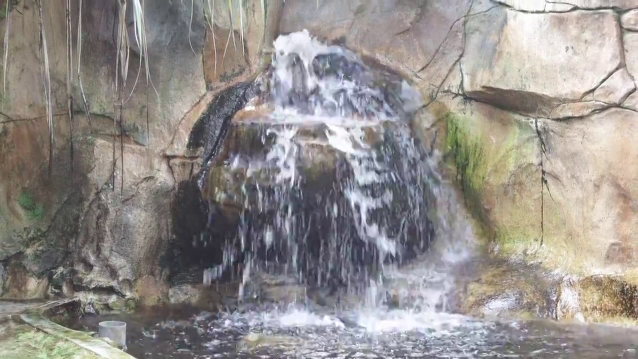 瀑布在森林的岩石之间视频素材