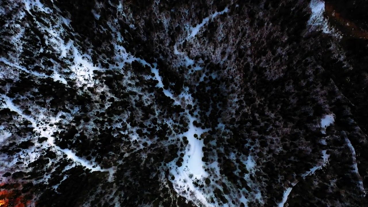 在森林雪景上的绿色树木的空中顶部平移生长-法国萨瓦视频下载