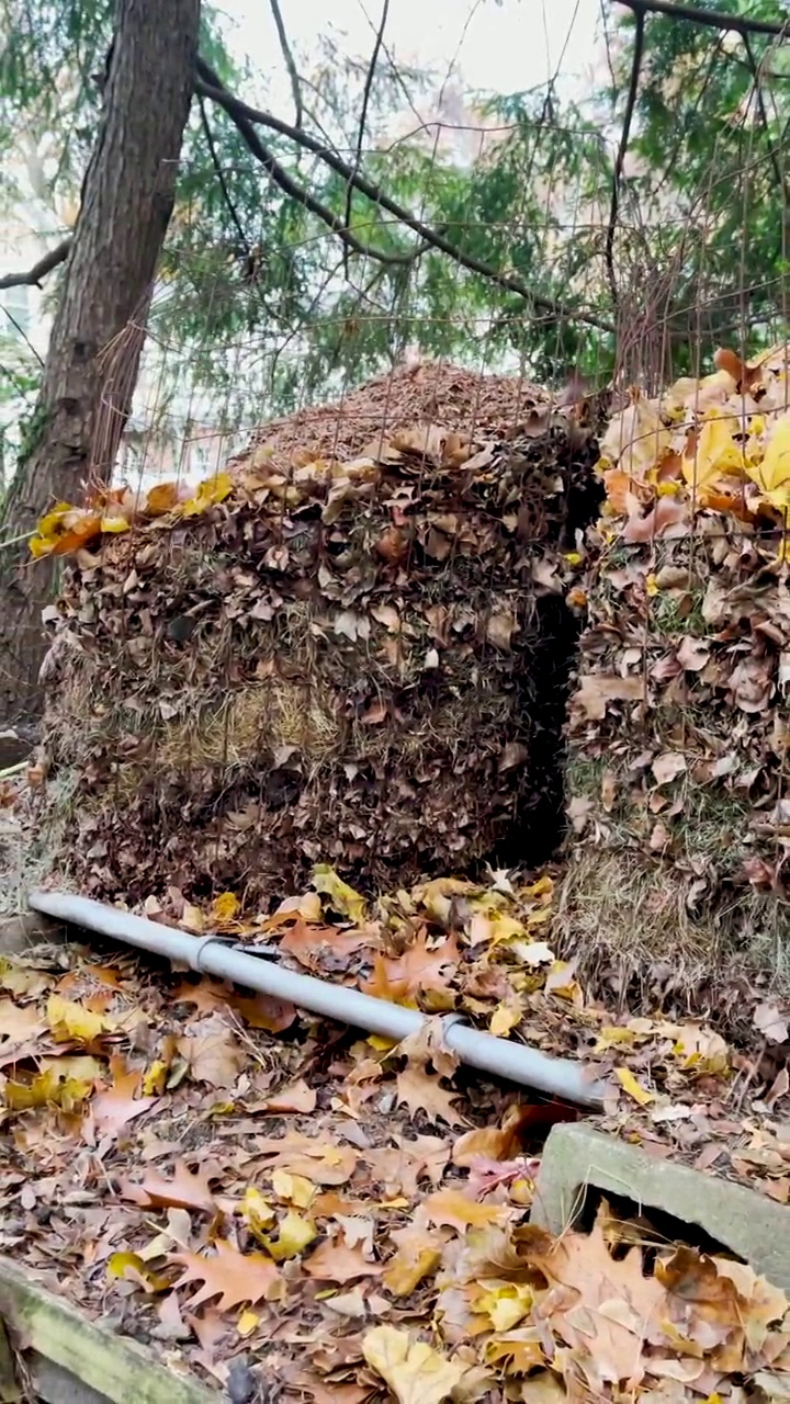 秋天的户外堆肥箱视频素材