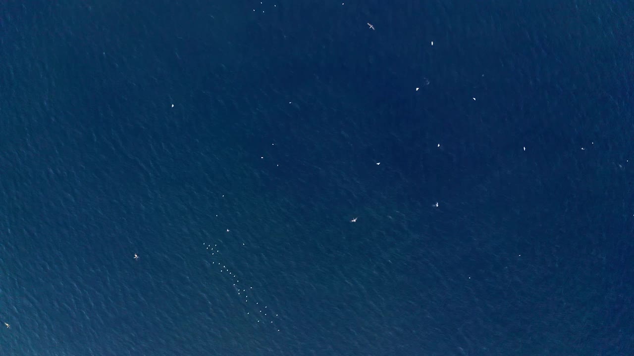 海洋视频素材