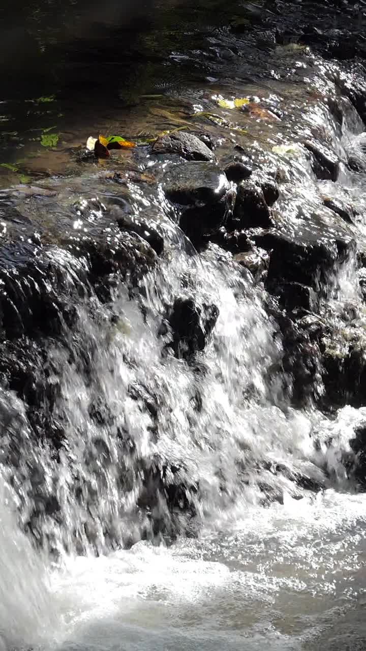 热带雨林中的瀑布，视频素材