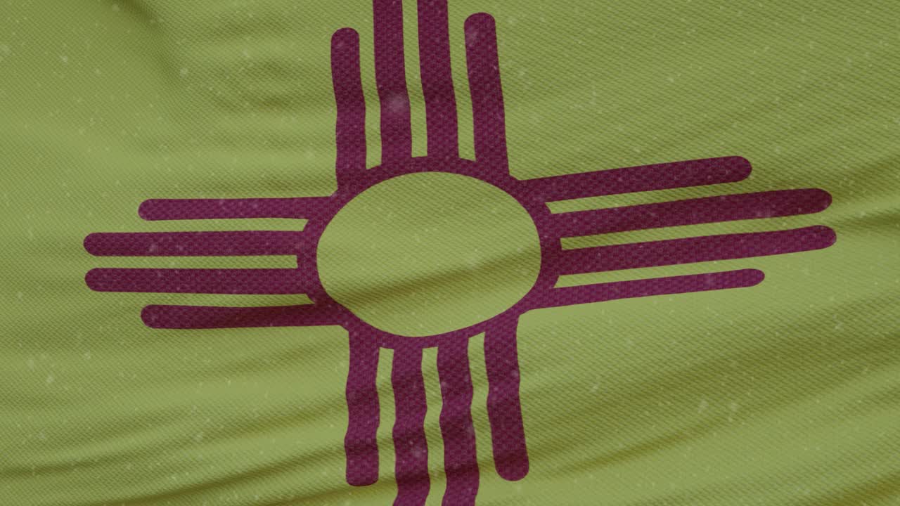 以雪花为背景的新墨西哥州冬季旗帜。美利坚合众国视频素材
