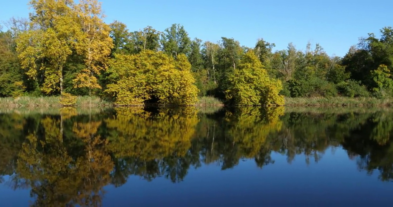 法国皮卡第，贡比涅森林，圣佩林池塘。视频素材
