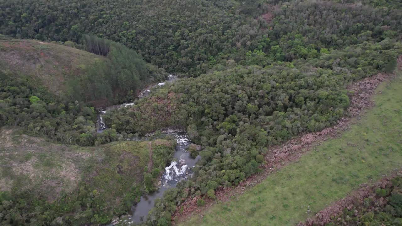 松树和针叶林，圣卡塔琳娜山脉有河流和小山视频下载