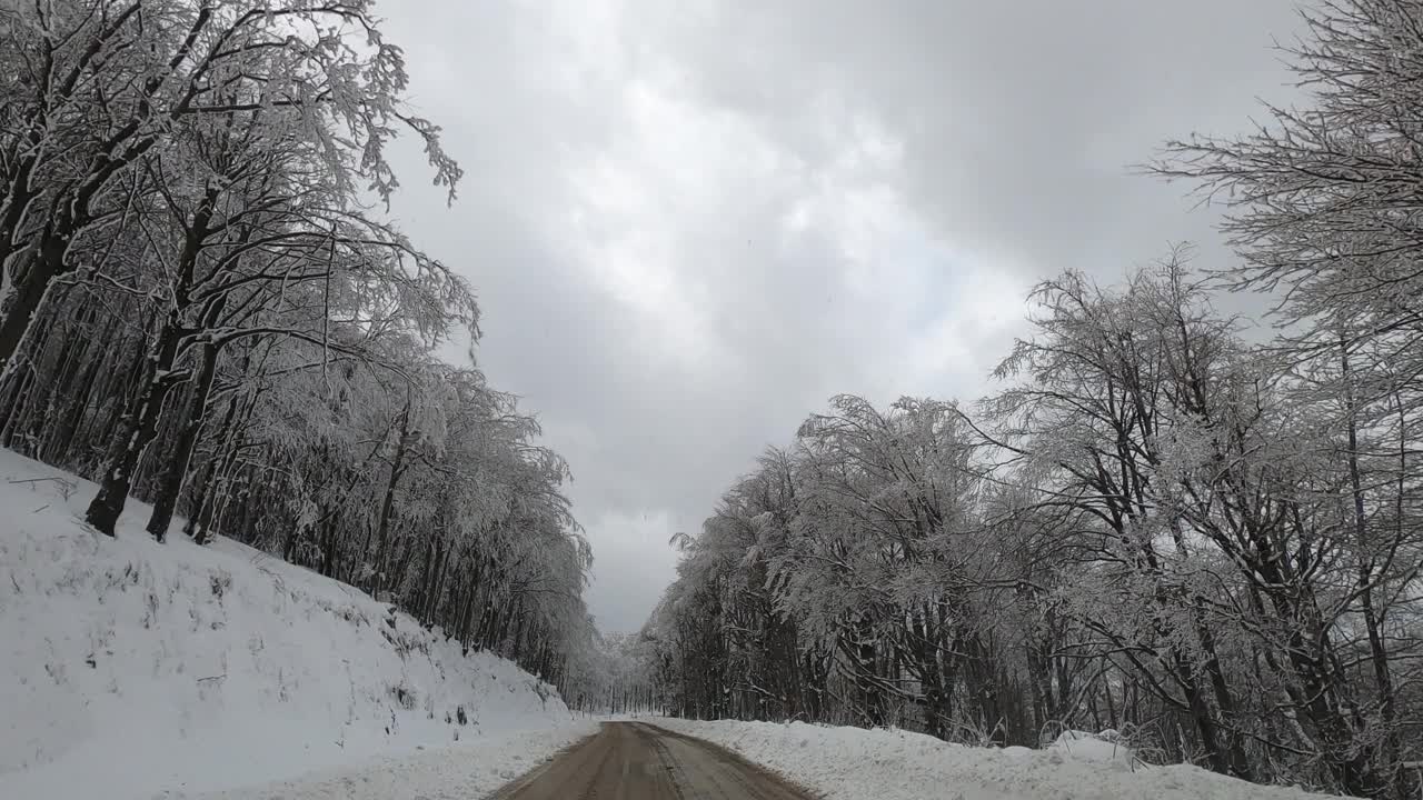 驾车穿过雪原森林视频素材