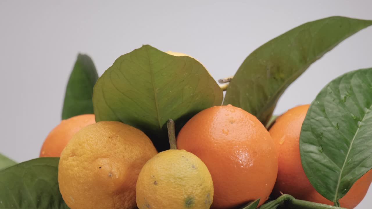 柑橘类水果，柠檬和橘子。彩色健康水果食品孤立旋转在白色背景。视频素材