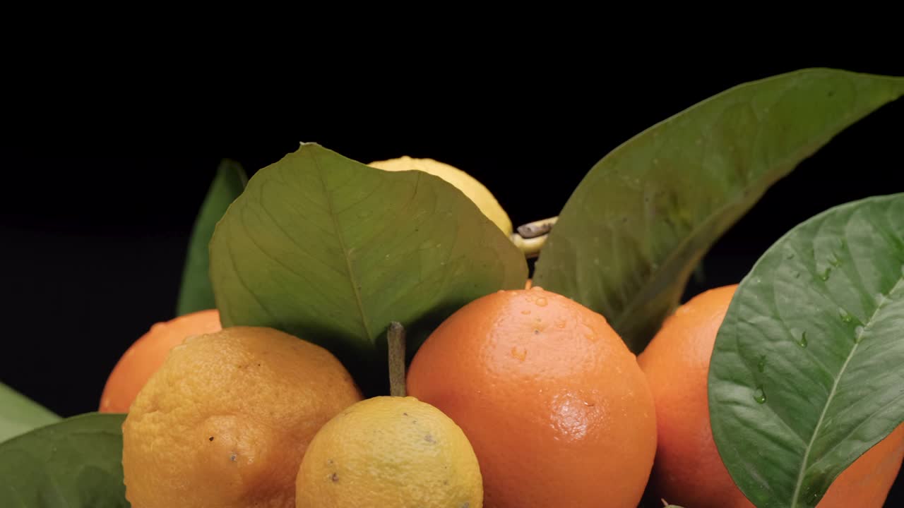 柑橘类水果，柠檬和橘子。彩色健康水果食品孤立旋转在黑色背景。视频素材