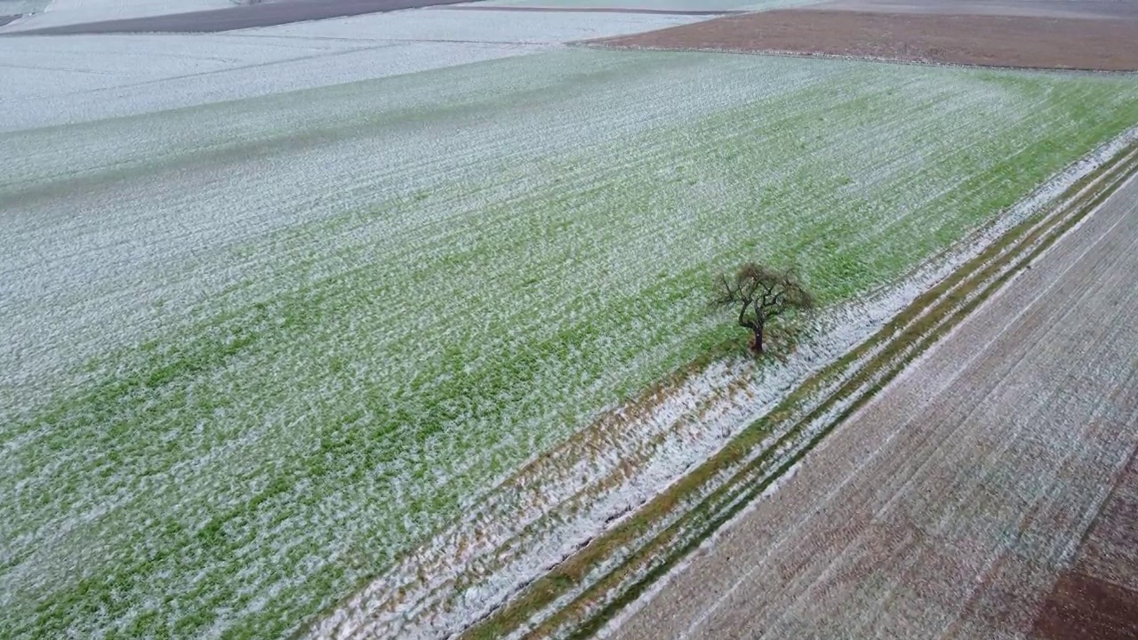 无人机在霜冻的冬季飞越苹果树上，鸟瞰视频购买