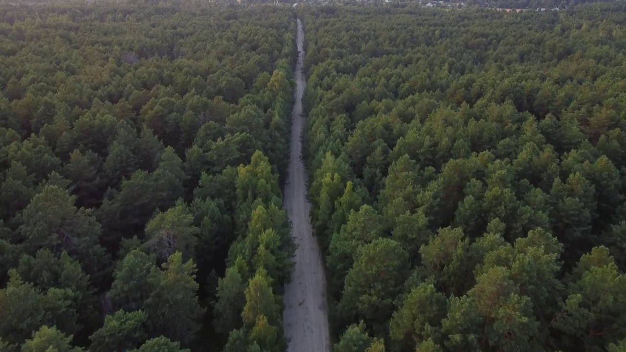 鸟瞰图飞过一条泥泞的森林道路，道路两边长满了茂密的绿树。松林。前视图。用无人机四旋翼直升机从上方鸟瞰视角拍摄视频素材