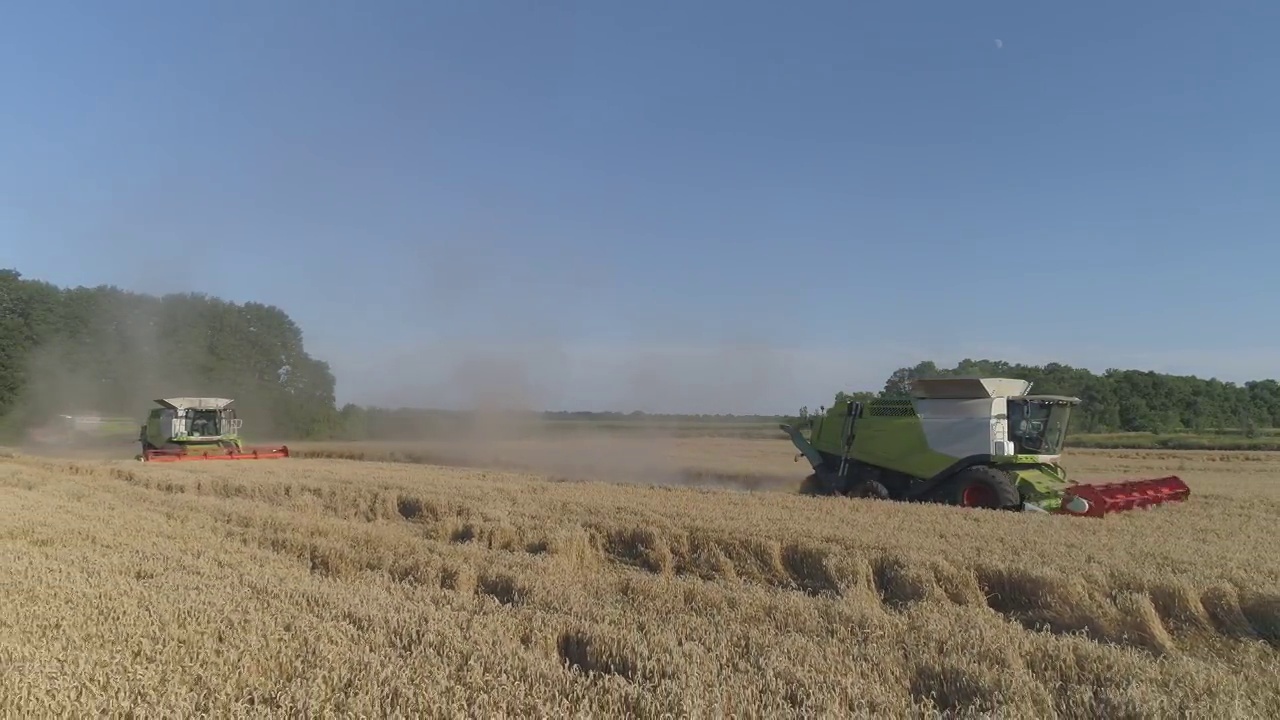天线。农业工作。联合收割机收割小麦。视频下载