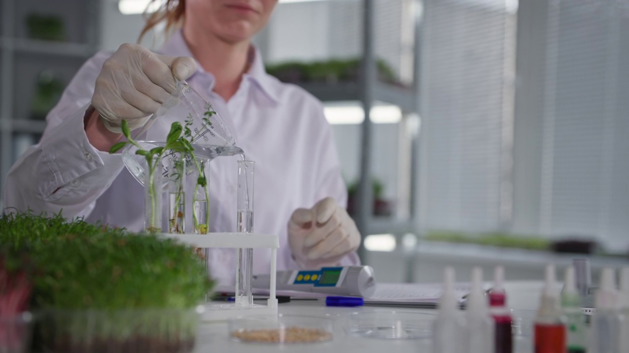 植物实验室，女实验室助理用测量设备检查水质，在现代温室的架子上灌溉年轻的微绿芽，特写镜头视频下载