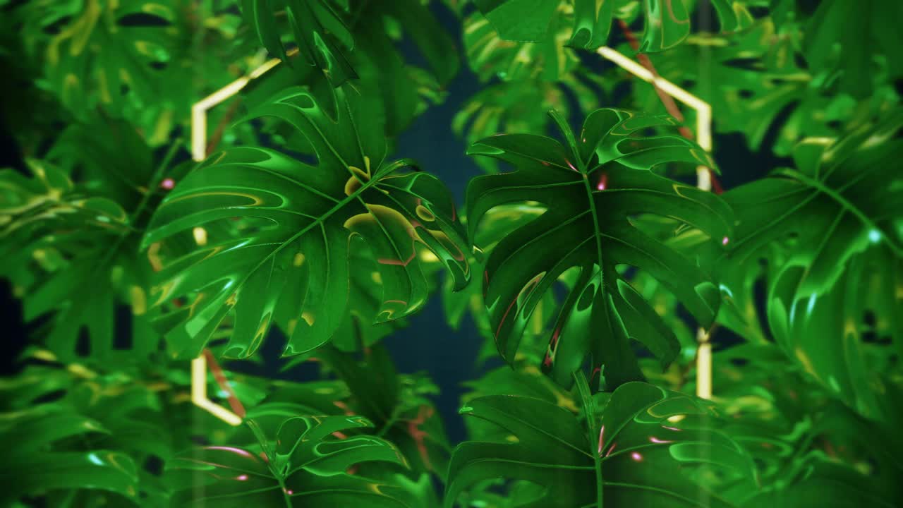 霓虹灯怪兽棕榈叶，banne的概念视频下载