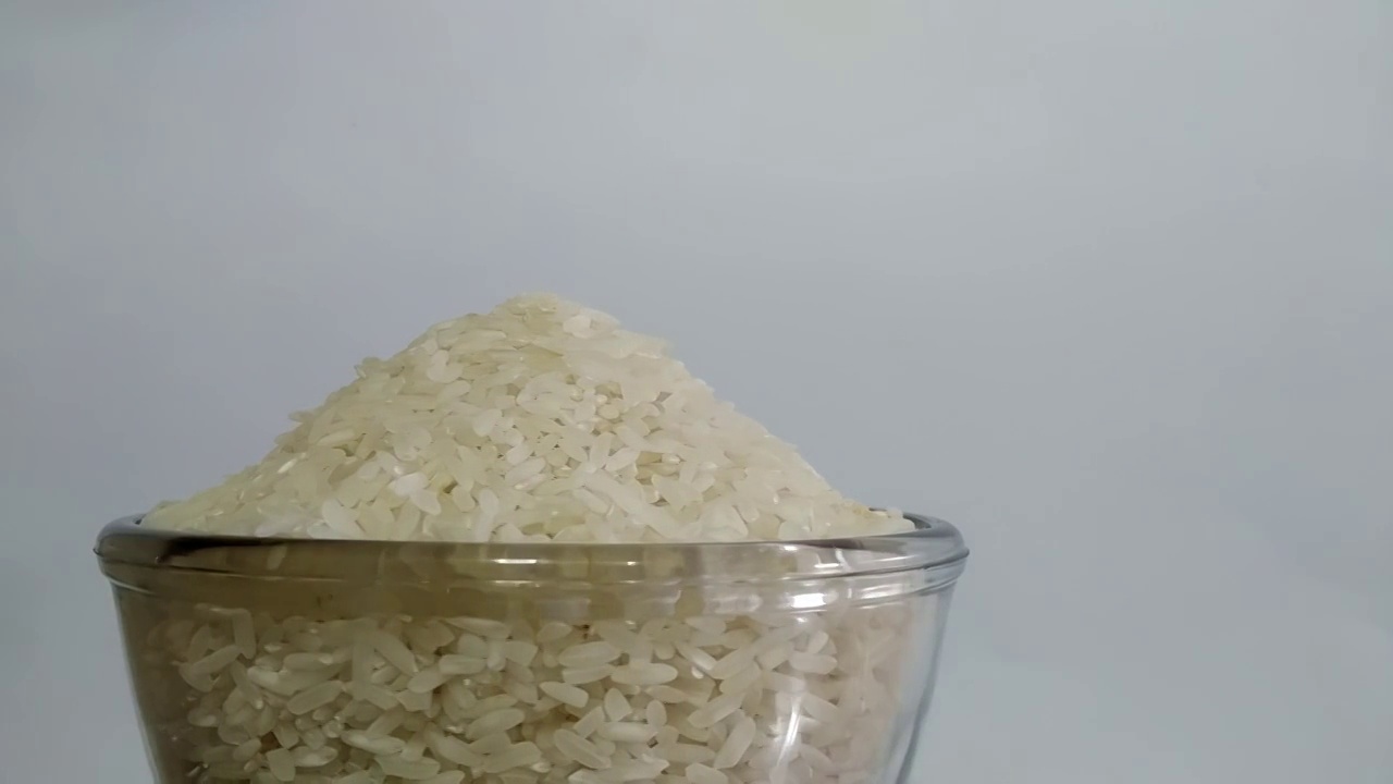 概念10-K1一碗米饭视频下载