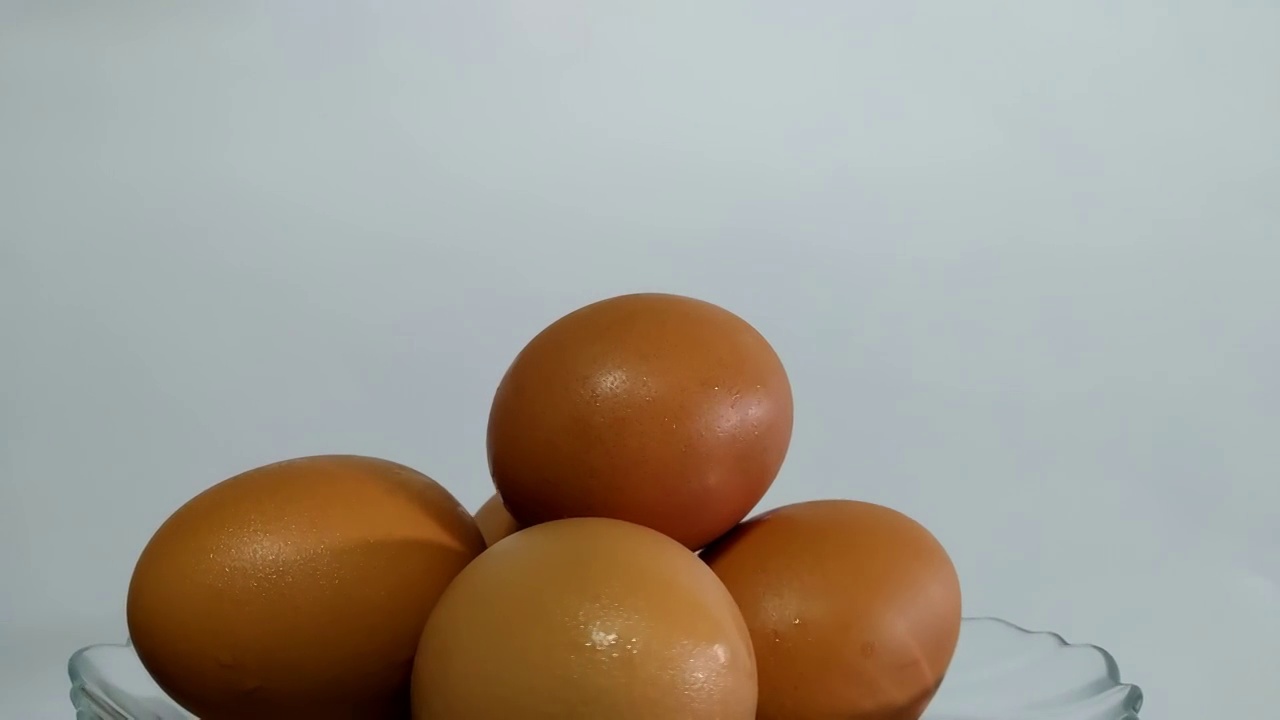 一盘鸡蛋视频下载