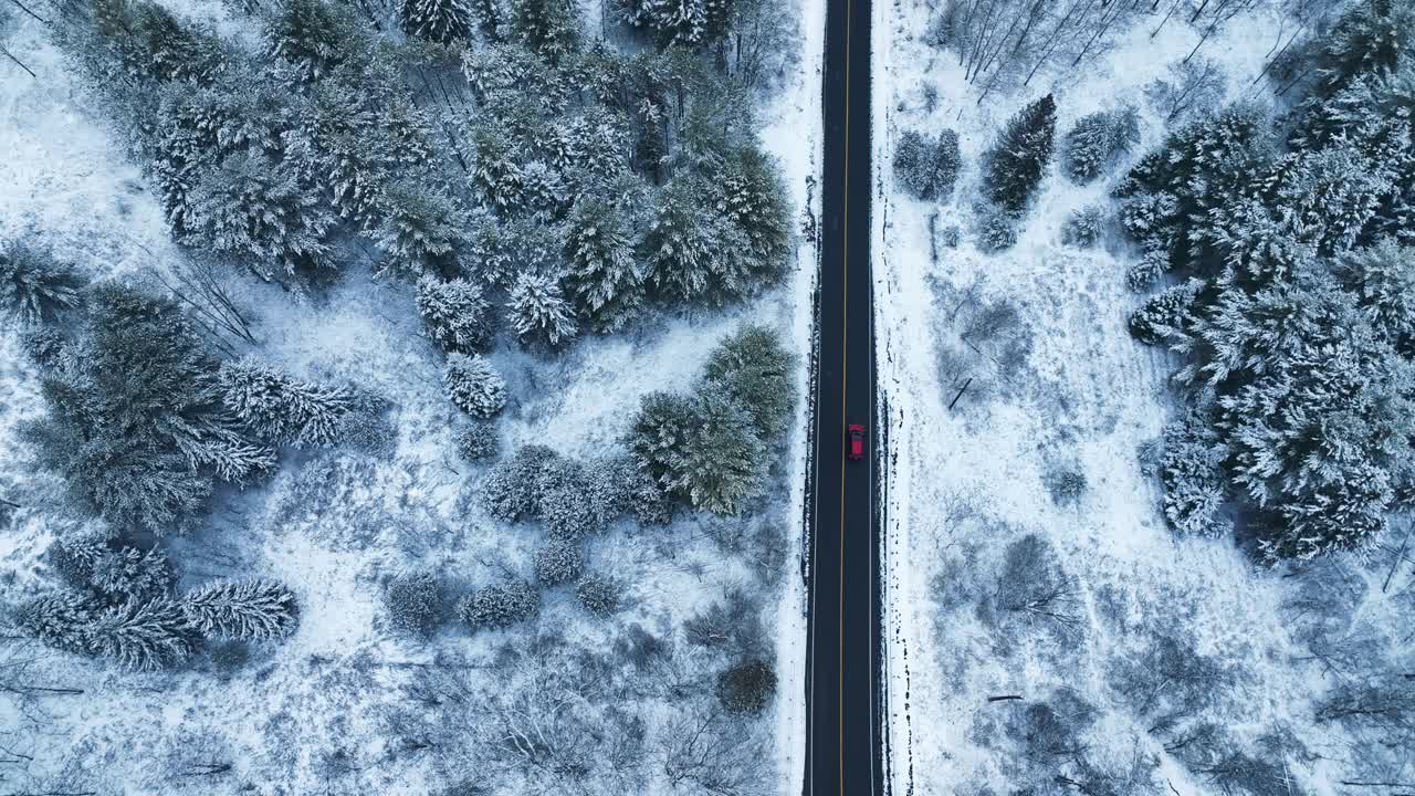 一辆红色的汽车在雪后的森林中行驶，加拿大视频下载