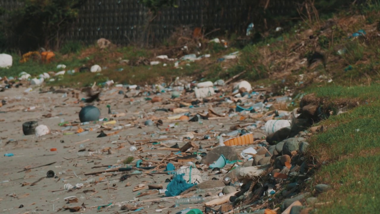 日本对马岛，被冲上岸的垃圾和乌鸦视频素材