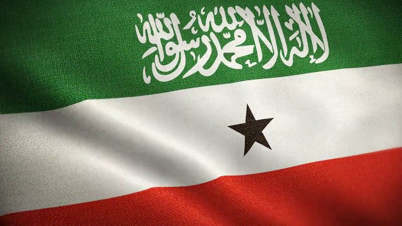 索马里兰动画库存视频国旗索马里兰旗帜在循环和纹理3d渲染背景-高度详细的织物图案和可循环的索马里兰共和国国旗视频下载