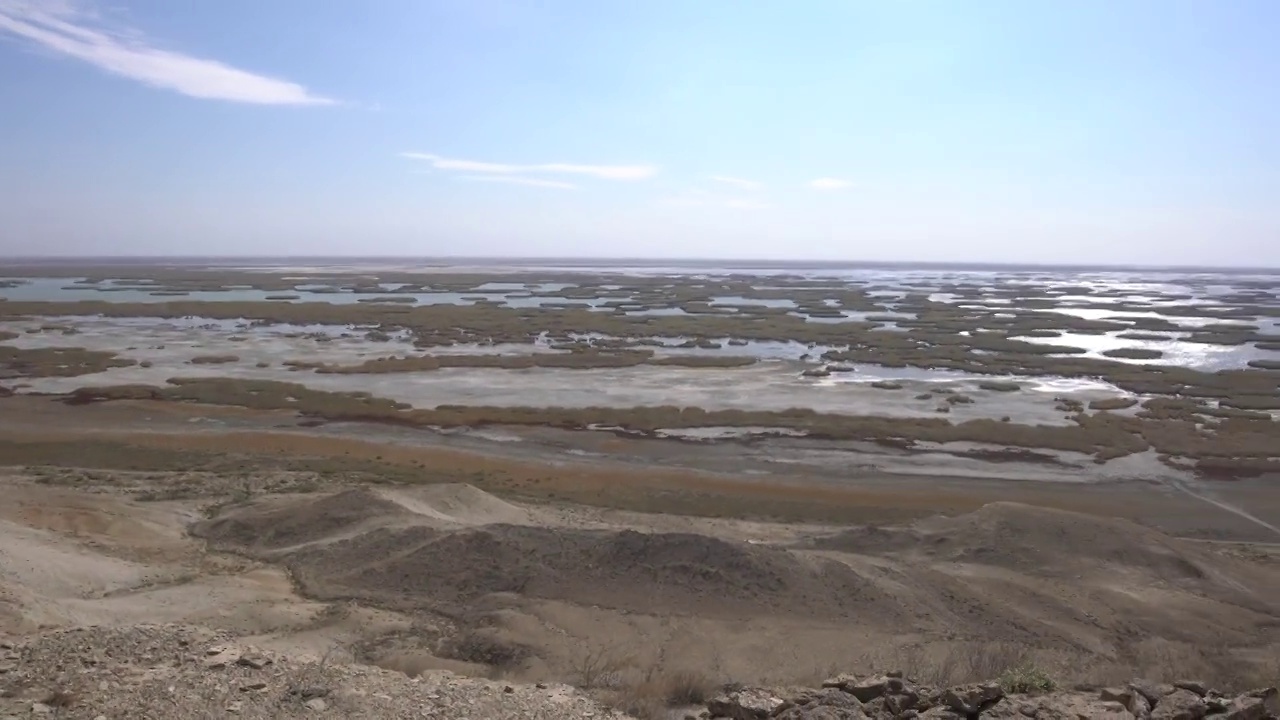 阿姆河三角洲Sudochie湖的景色，紧挨着乌兹别克斯坦的咸海视频下载