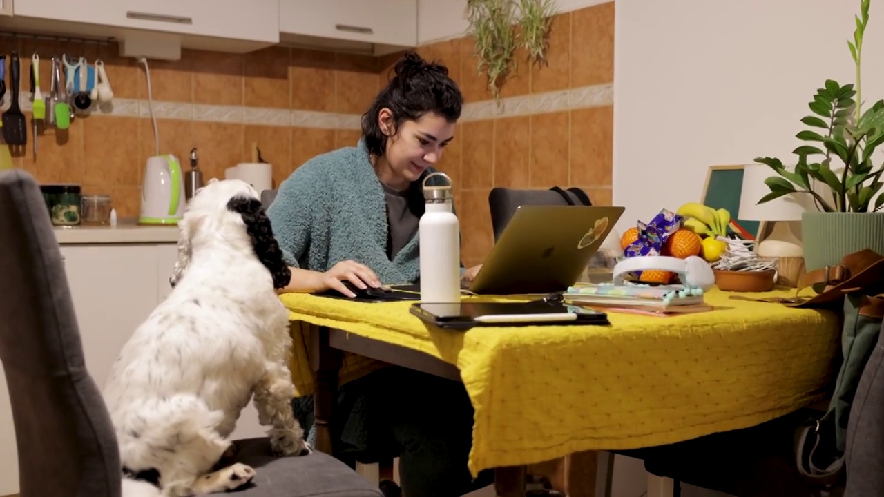 一名年轻女子在家用笔记本电脑工作时，正在抚摸她的狗，一只可卡犬视频素材