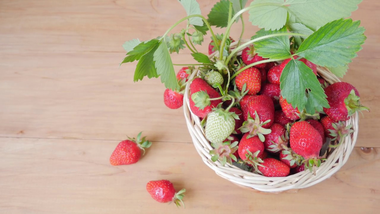 柳条篮子里的草莓。带绿叶的草莓。新鲜的草莓。视频素材